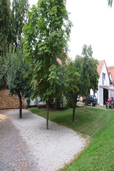 Gasthaus Pension Biergarten Lutz